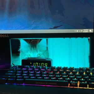 Meet your Posher, Taylor